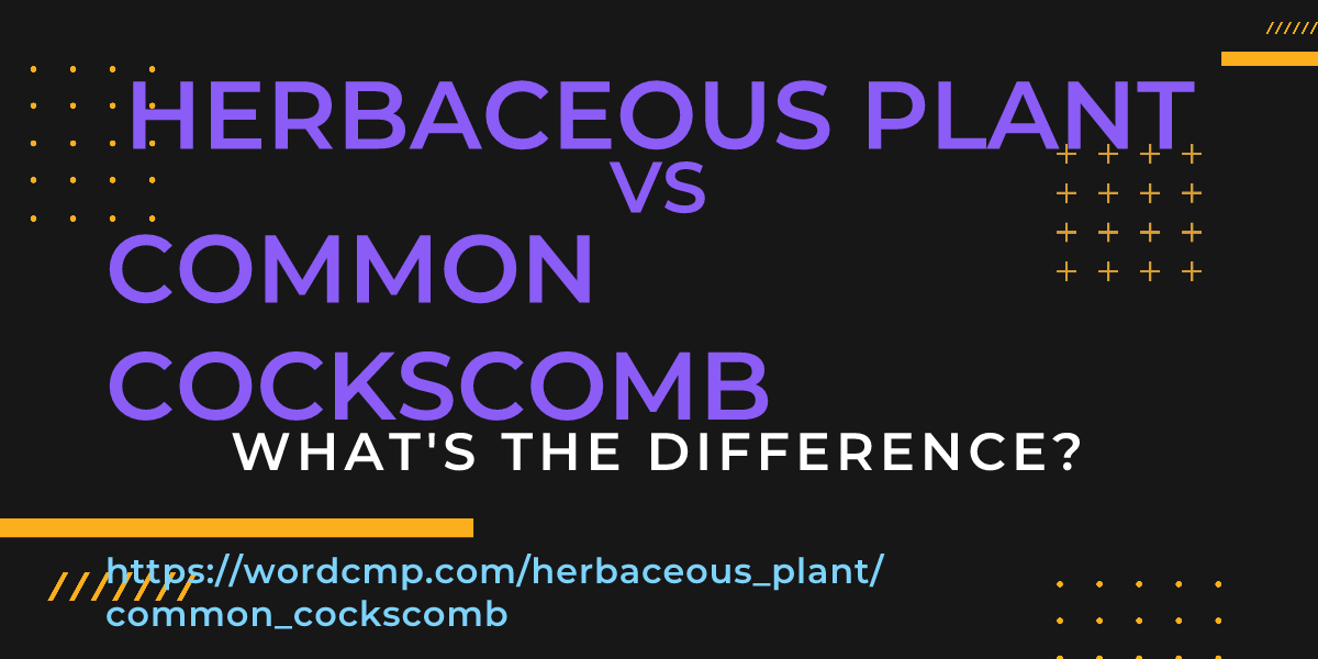 Difference between herbaceous plant and common cockscomb