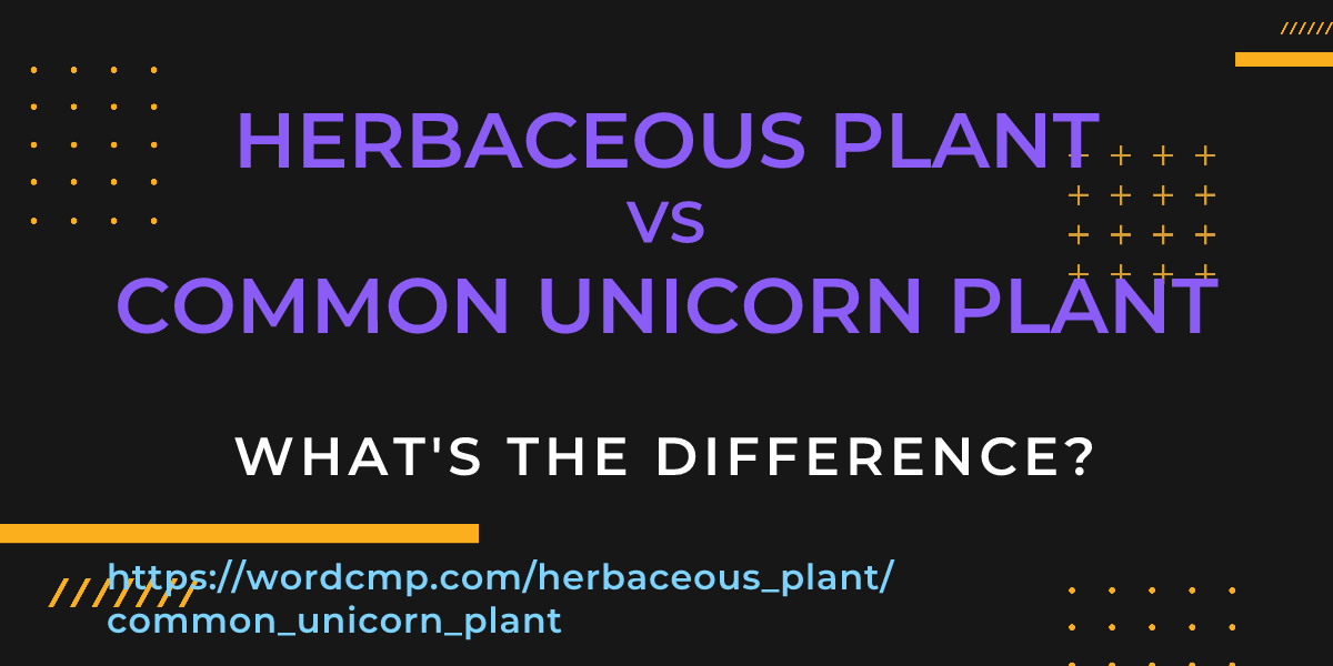 Difference between herbaceous plant and common unicorn plant