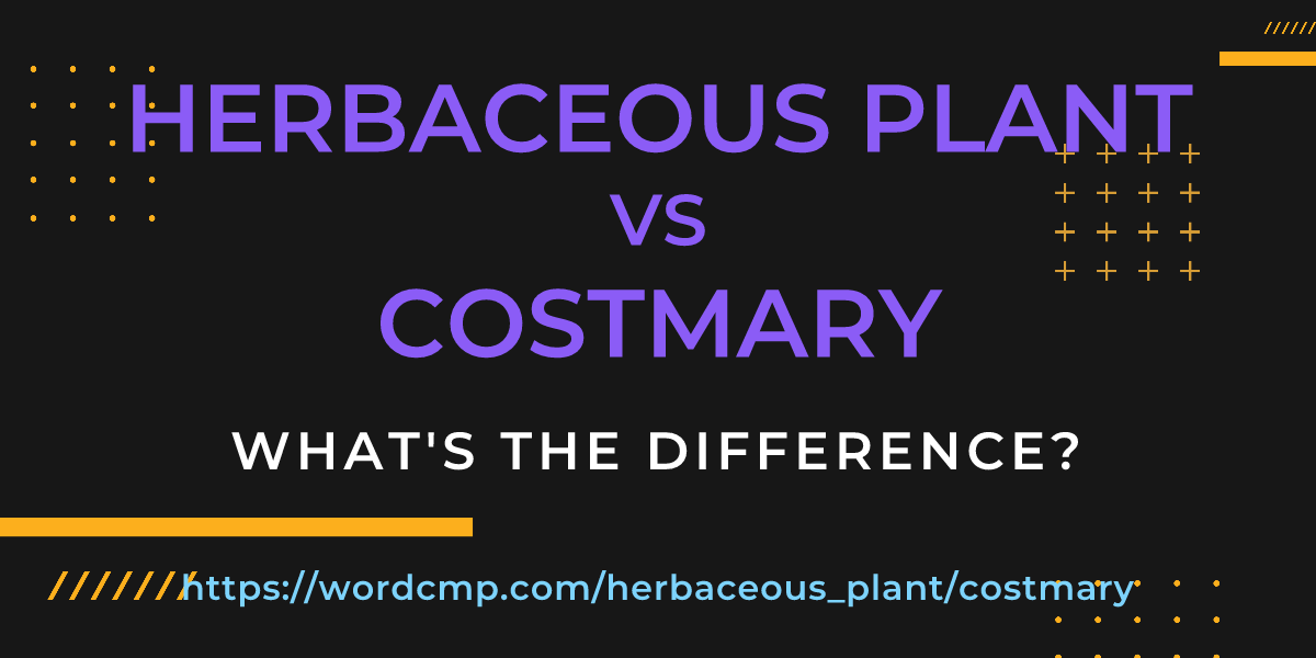 Difference between herbaceous plant and costmary
