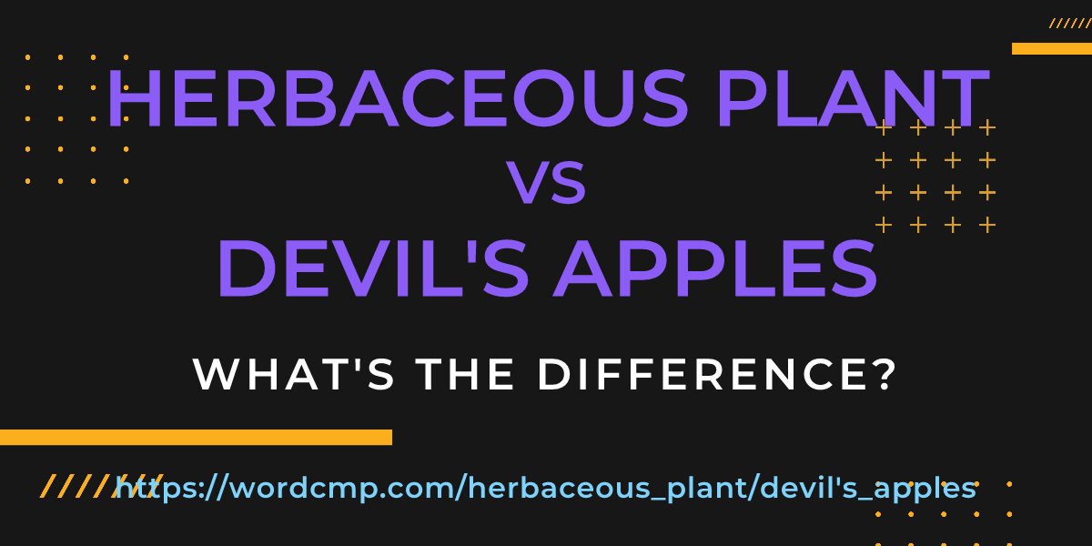 Difference between herbaceous plant and devil's apples