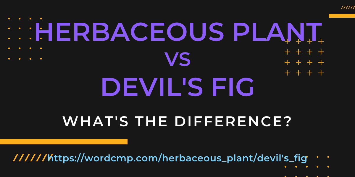 Difference between herbaceous plant and devil's fig