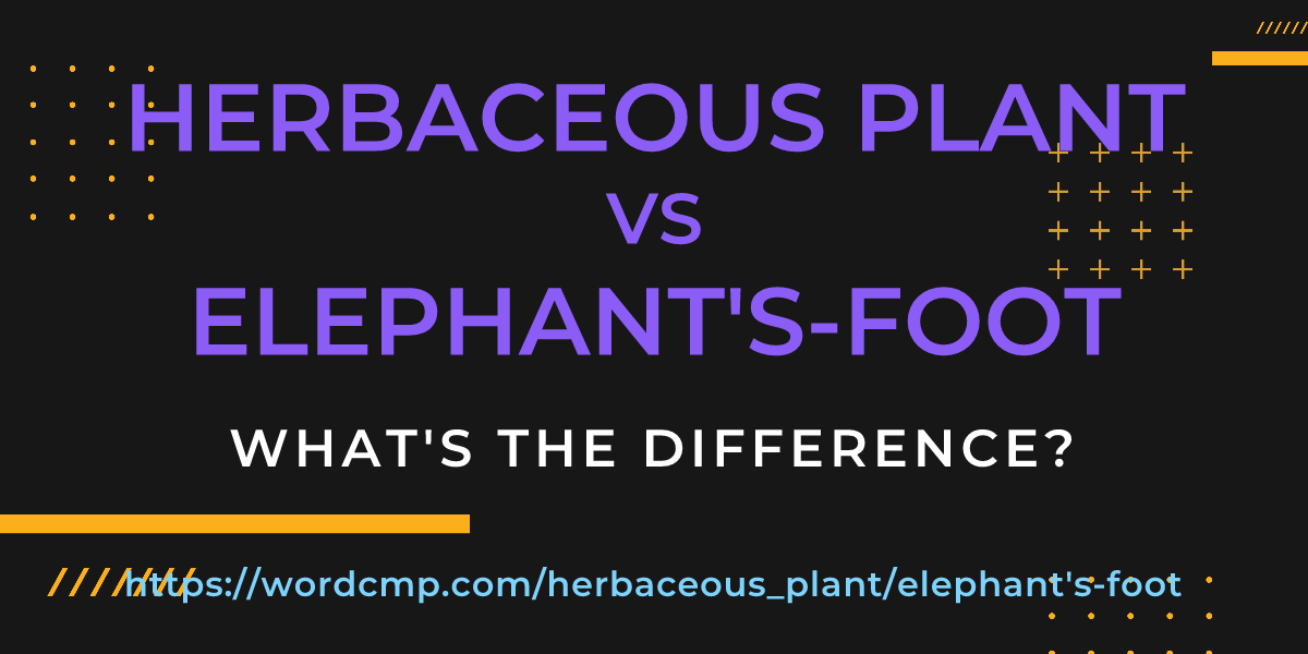 Difference between herbaceous plant and elephant's-foot