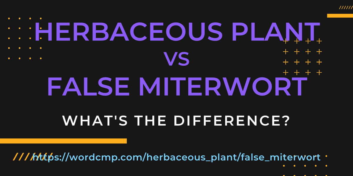 Difference between herbaceous plant and false miterwort
