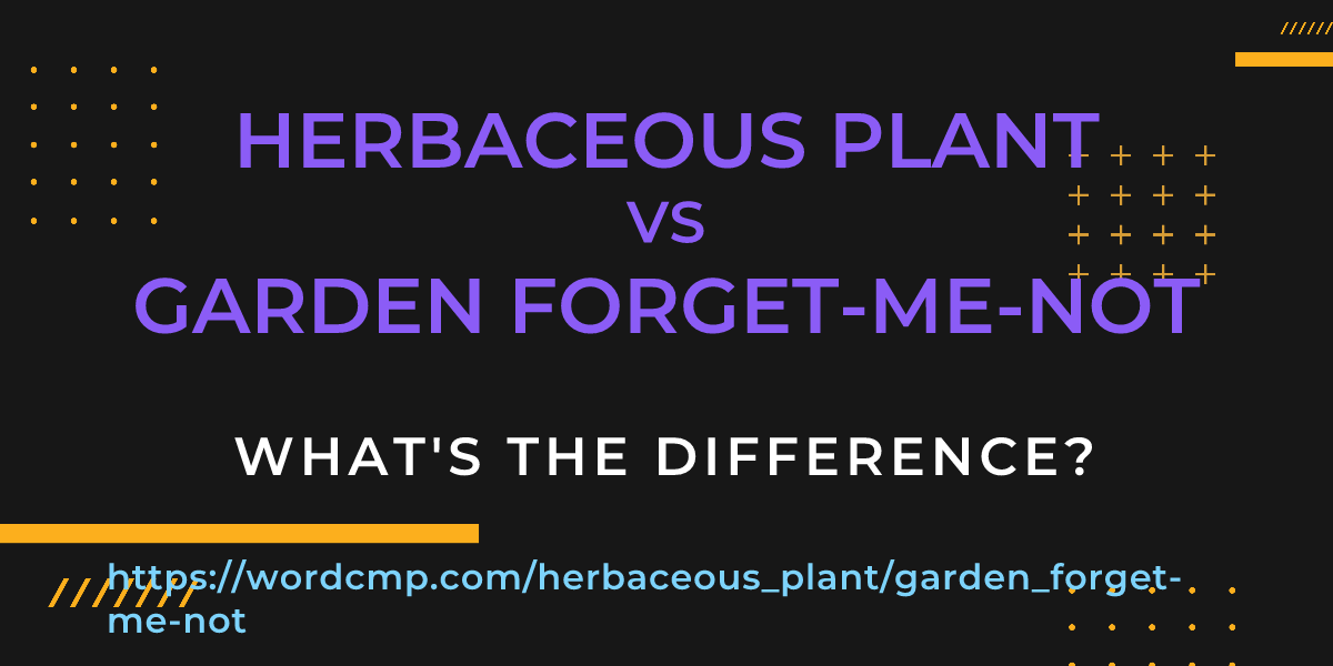 Difference between herbaceous plant and garden forget-me-not