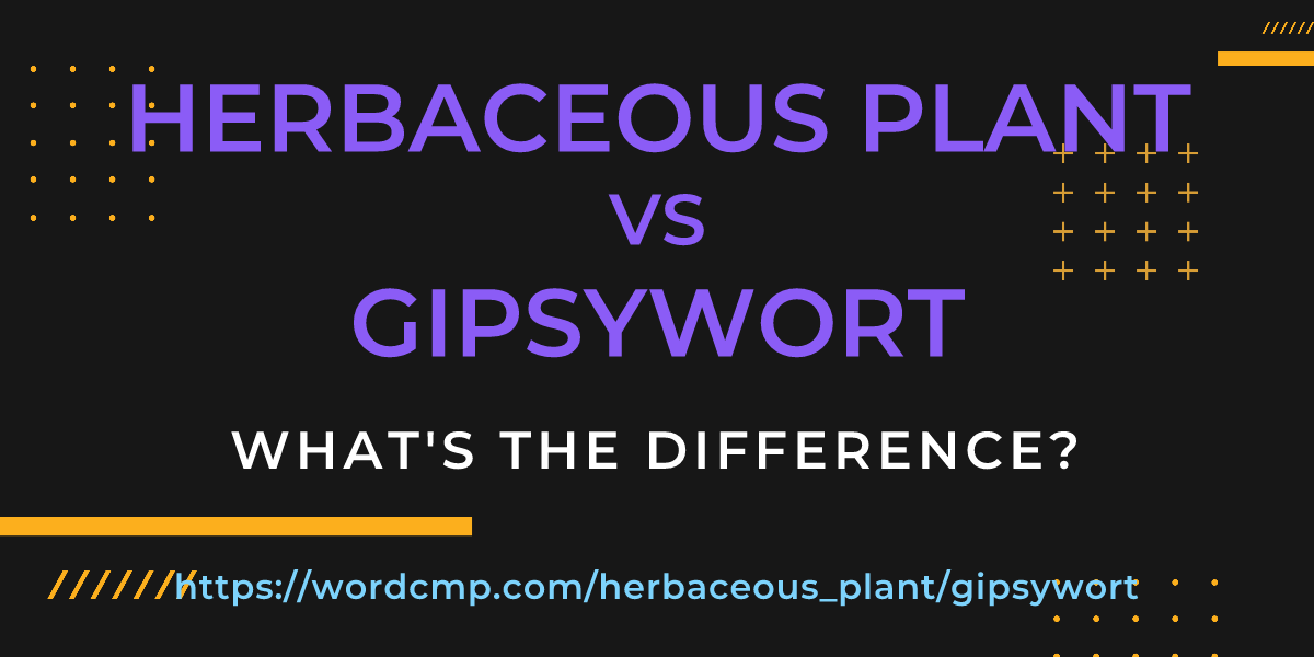 Difference between herbaceous plant and gipsywort