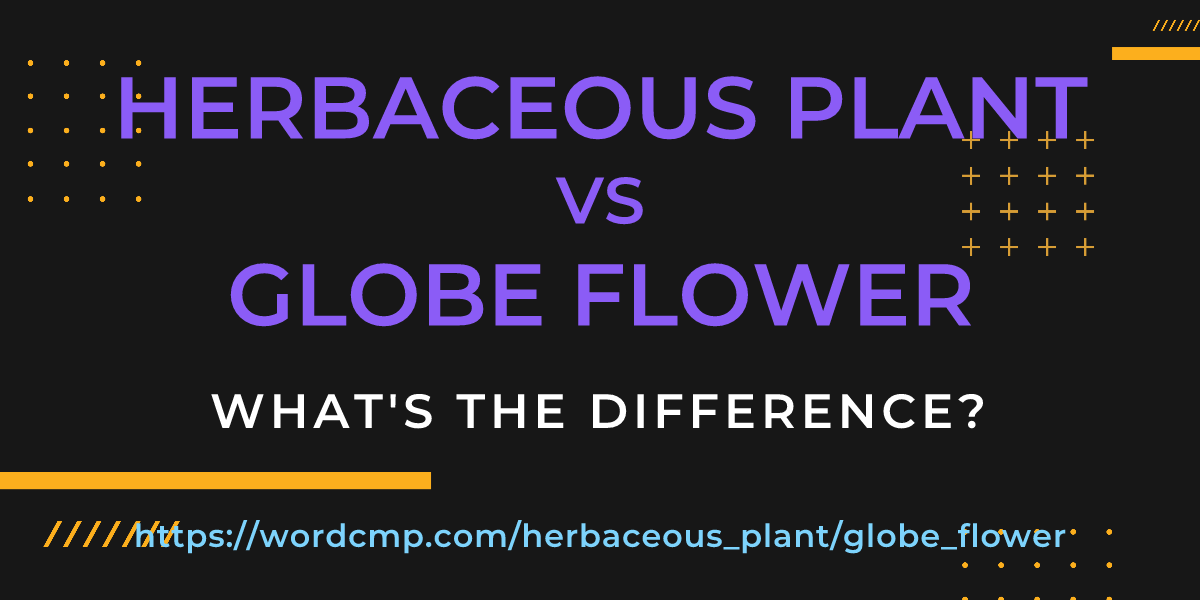 Difference between herbaceous plant and globe flower