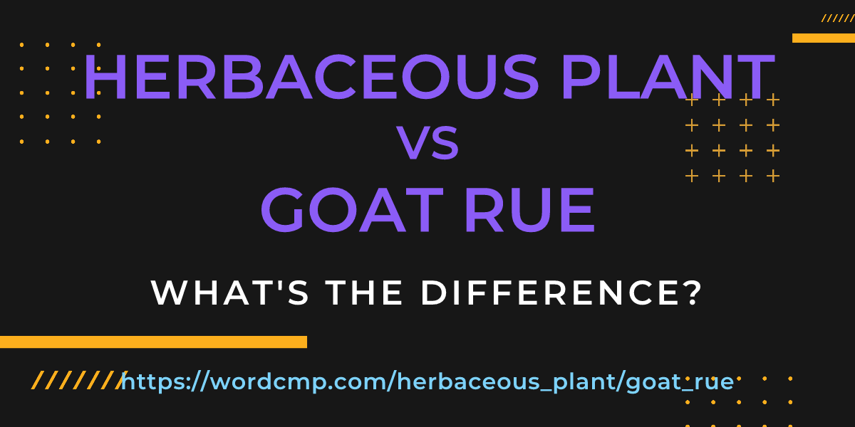 Difference between herbaceous plant and goat rue