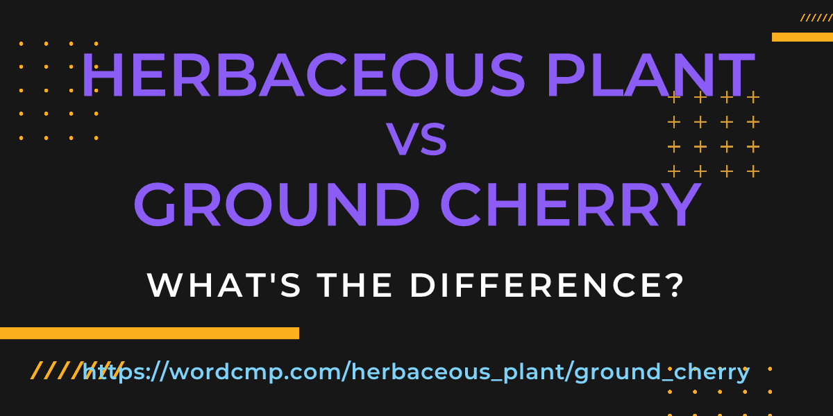 Difference between herbaceous plant and ground cherry