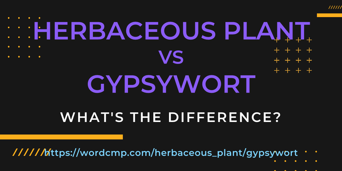 Difference between herbaceous plant and gypsywort