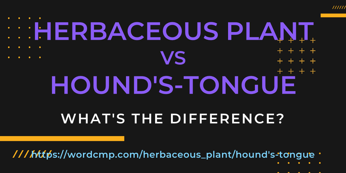 Difference between herbaceous plant and hound's-tongue