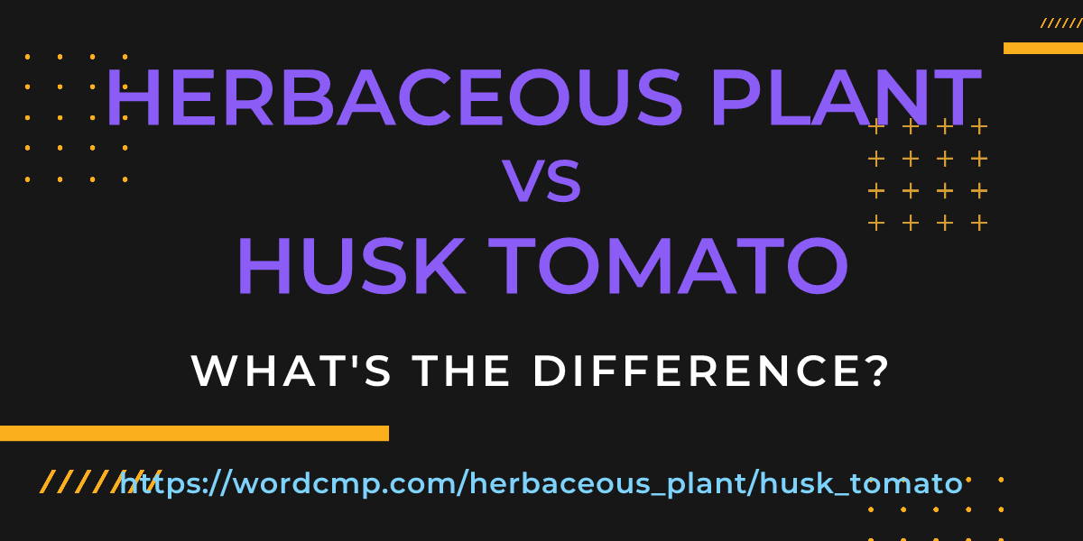 Difference between herbaceous plant and husk tomato