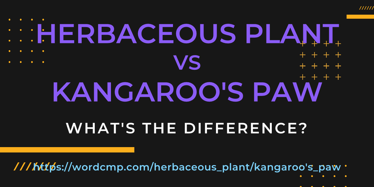 Difference between herbaceous plant and kangaroo's paw