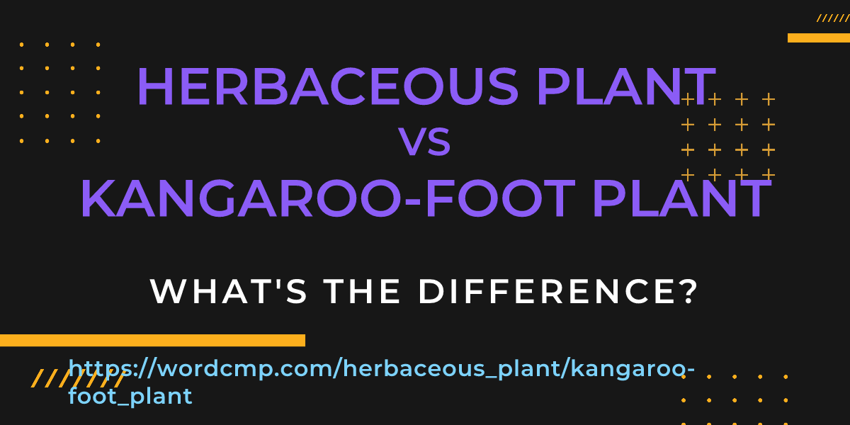 Difference between herbaceous plant and kangaroo-foot plant