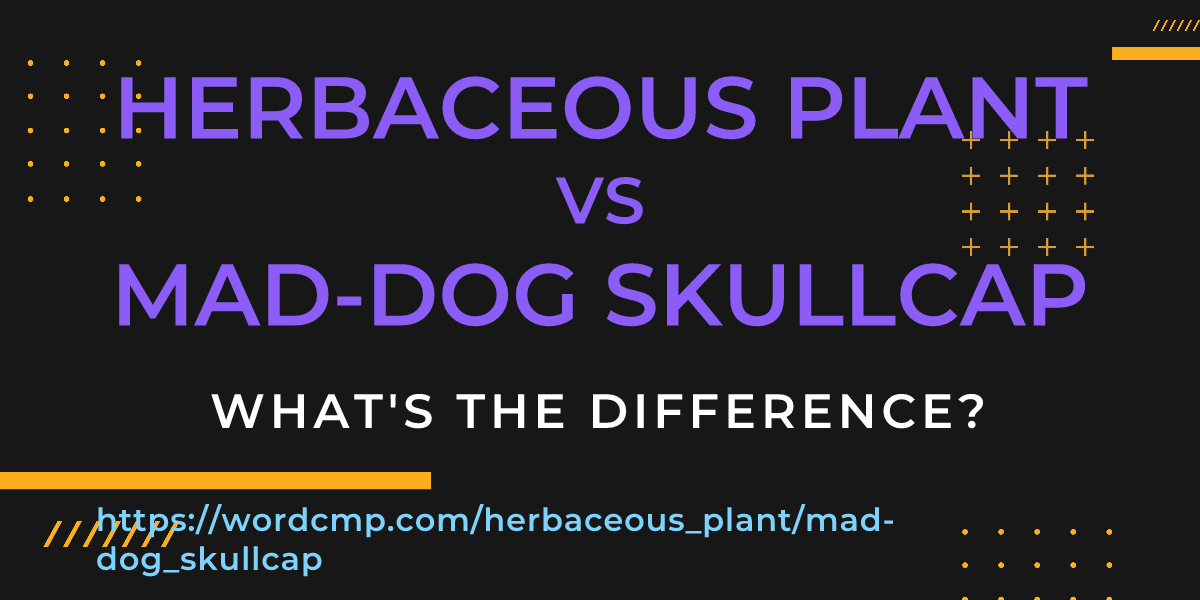Difference between herbaceous plant and mad-dog skullcap