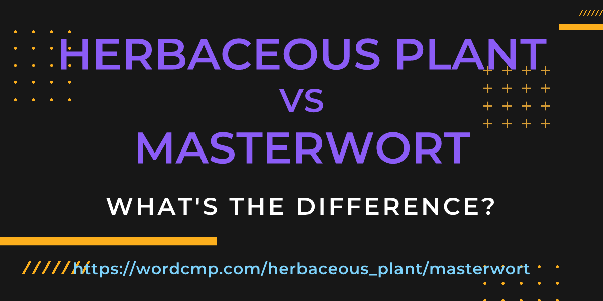 Difference between herbaceous plant and masterwort