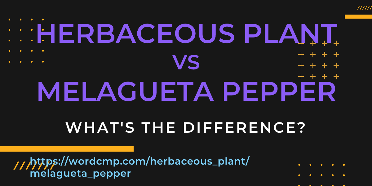 Difference between herbaceous plant and melagueta pepper