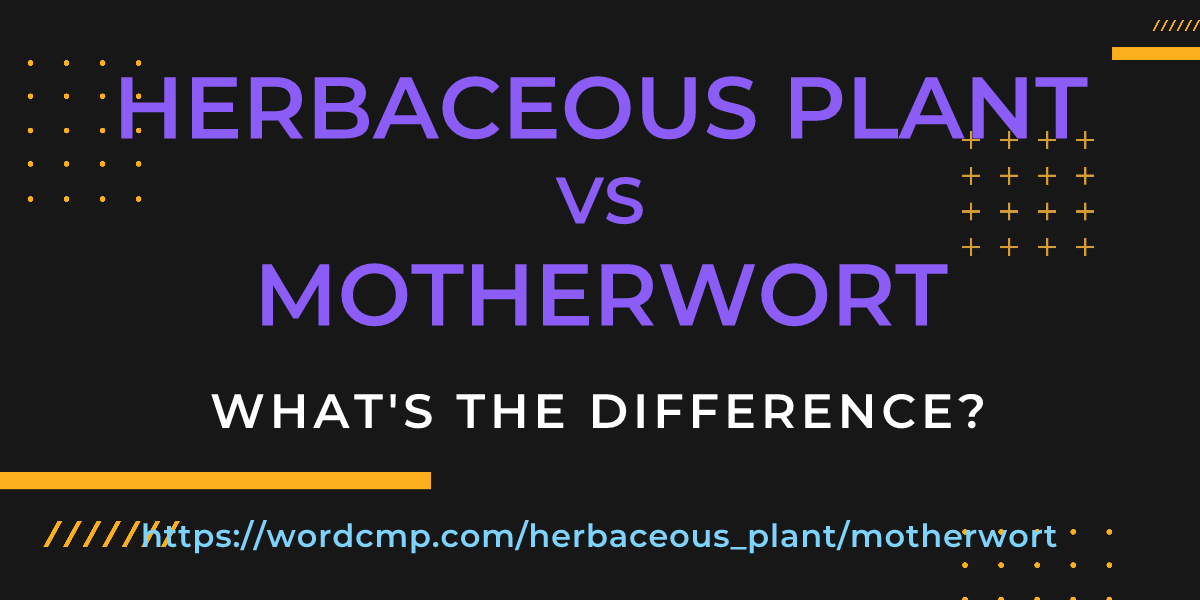 Difference between herbaceous plant and motherwort