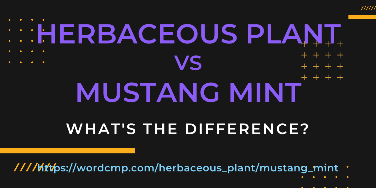 Difference between herbaceous plant and mustang mint