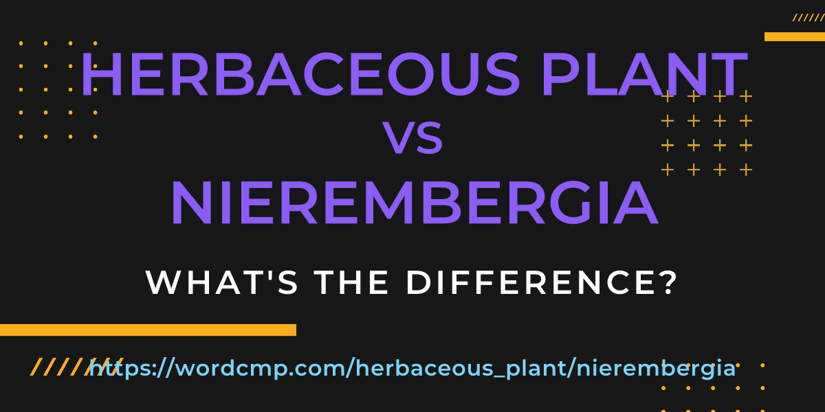 Difference between herbaceous plant and nierembergia