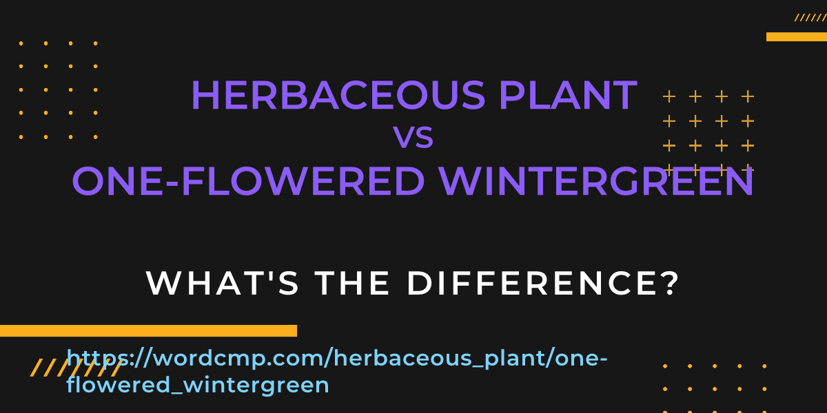 Difference between herbaceous plant and one-flowered wintergreen