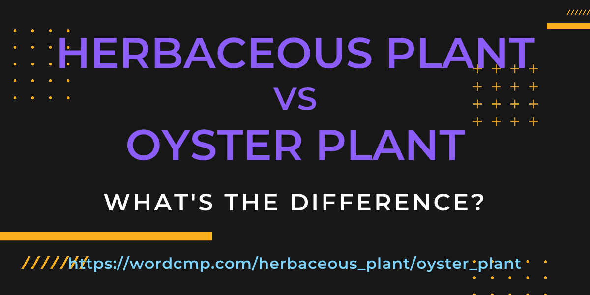 Difference between herbaceous plant and oyster plant