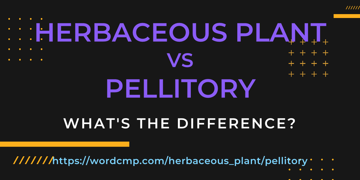 Difference between herbaceous plant and pellitory