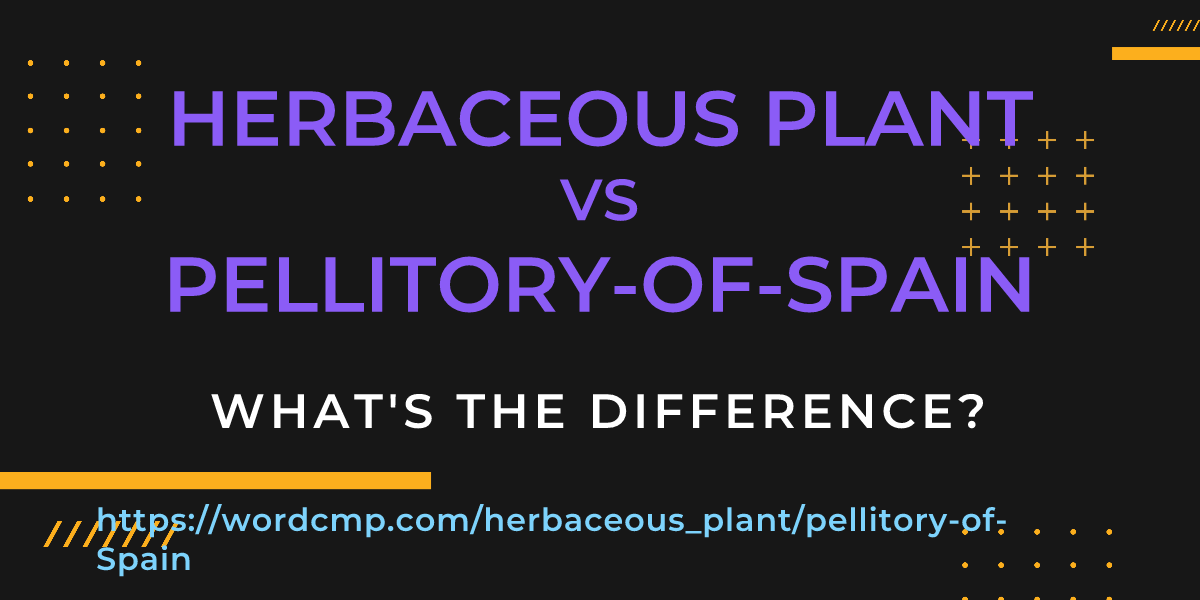 Difference between herbaceous plant and pellitory-of-Spain