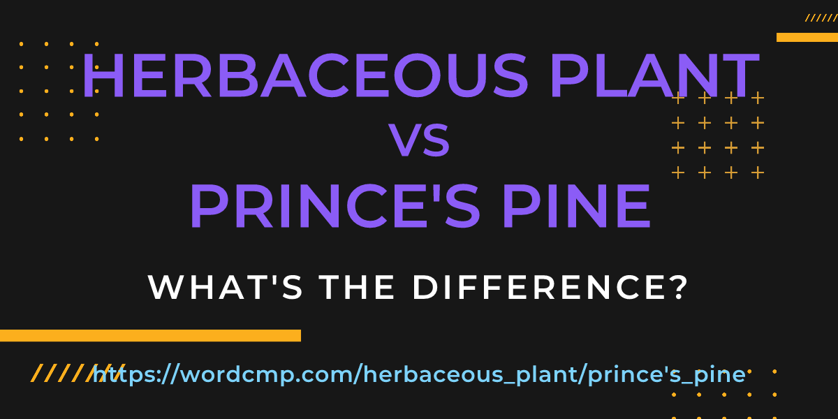 Difference between herbaceous plant and prince's pine