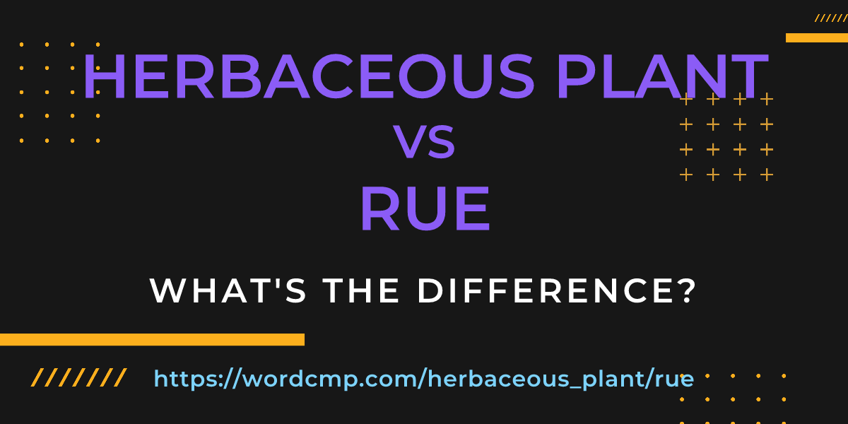 Difference between herbaceous plant and rue