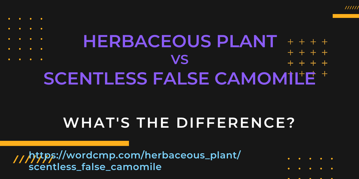Difference between herbaceous plant and scentless false camomile