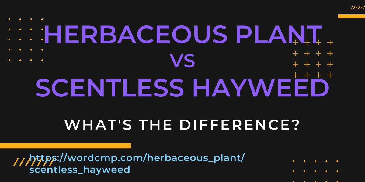 Difference between herbaceous plant and scentless hayweed