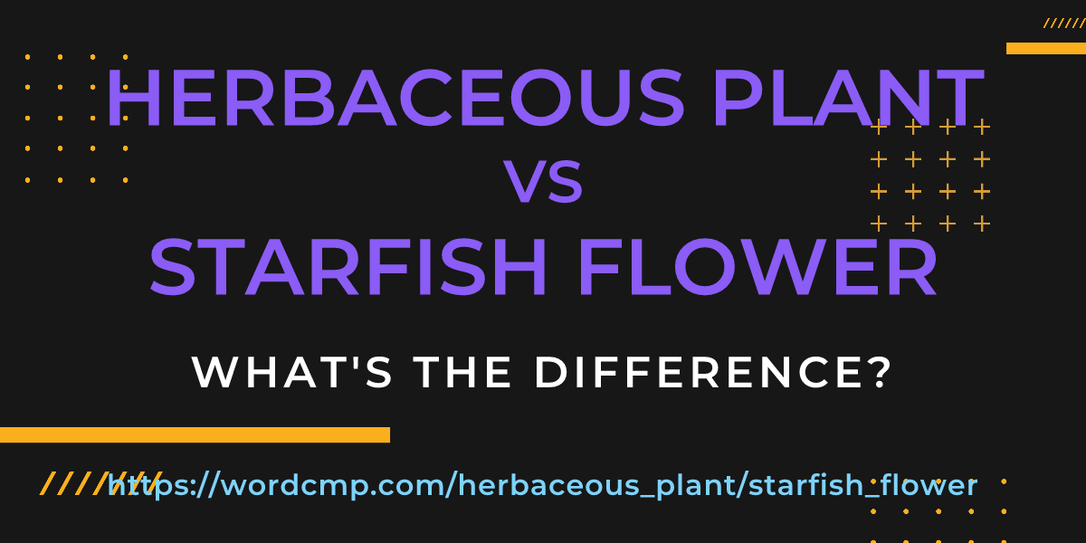 Difference between herbaceous plant and starfish flower