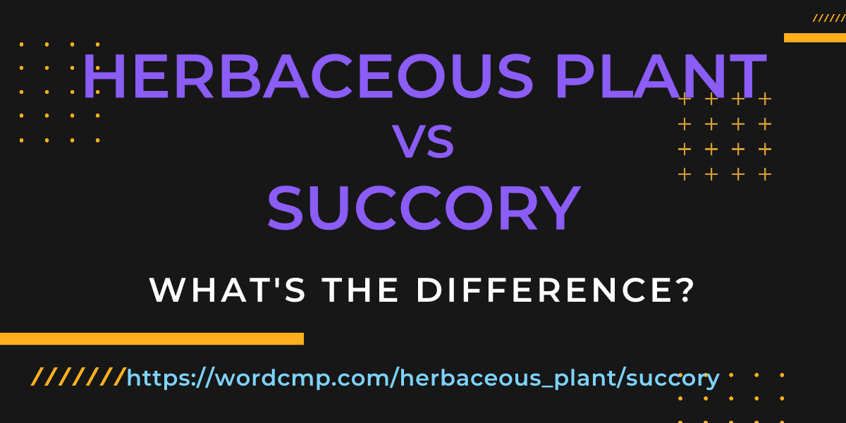 Difference between herbaceous plant and succory