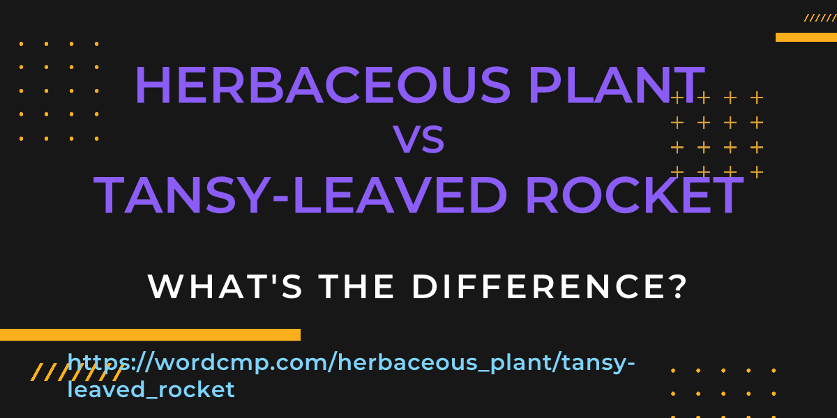 Difference between herbaceous plant and tansy-leaved rocket