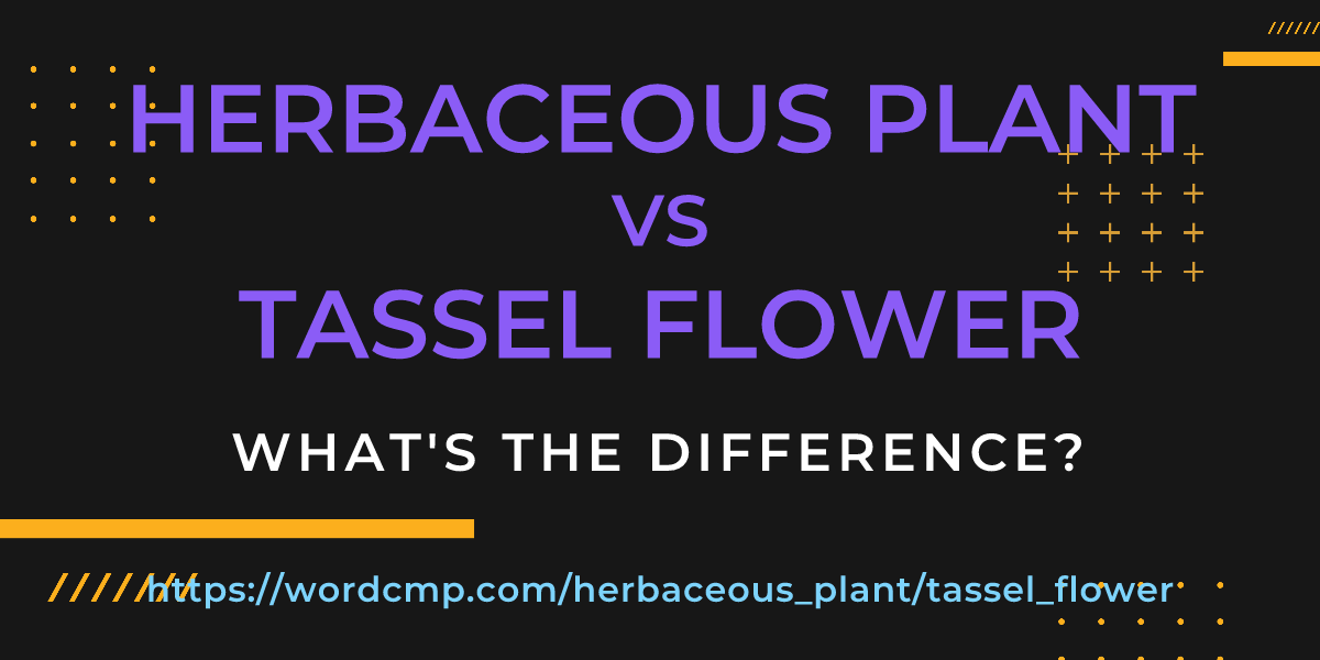Difference between herbaceous plant and tassel flower