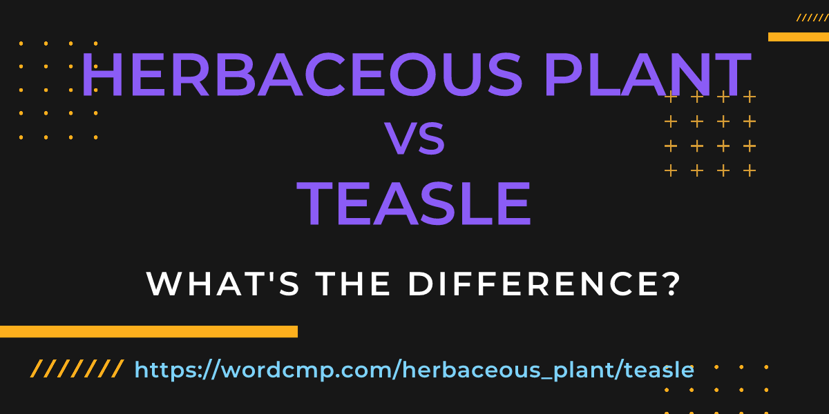Difference between herbaceous plant and teasle