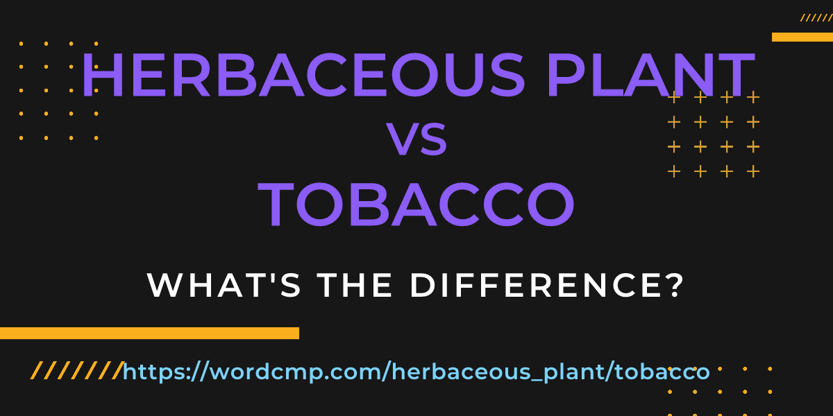 Difference between herbaceous plant and tobacco