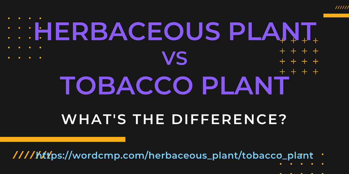 Difference between herbaceous plant and tobacco plant