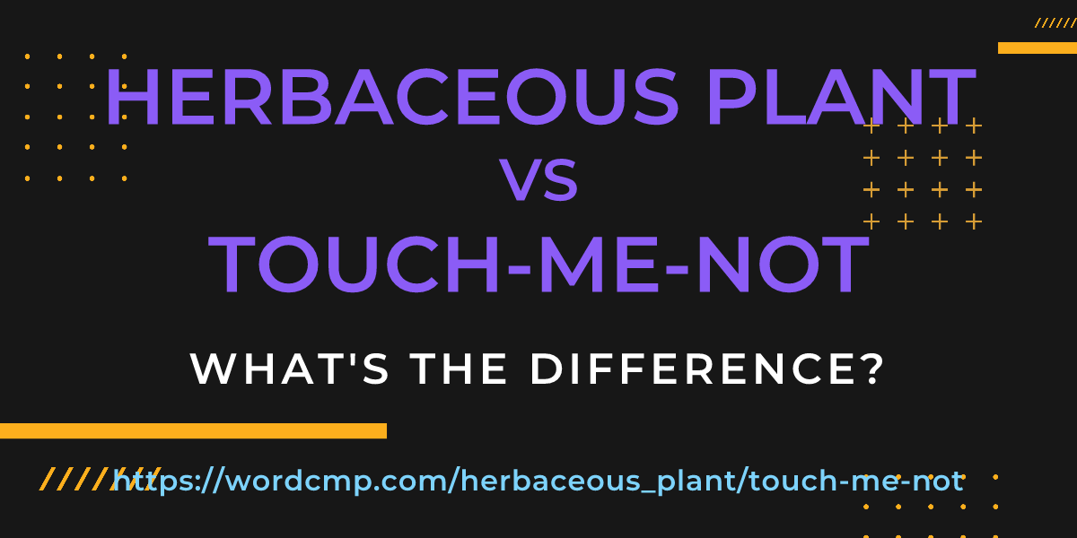Difference between herbaceous plant and touch-me-not