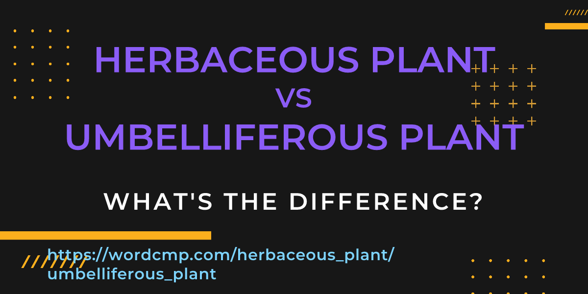 Difference between herbaceous plant and umbelliferous plant