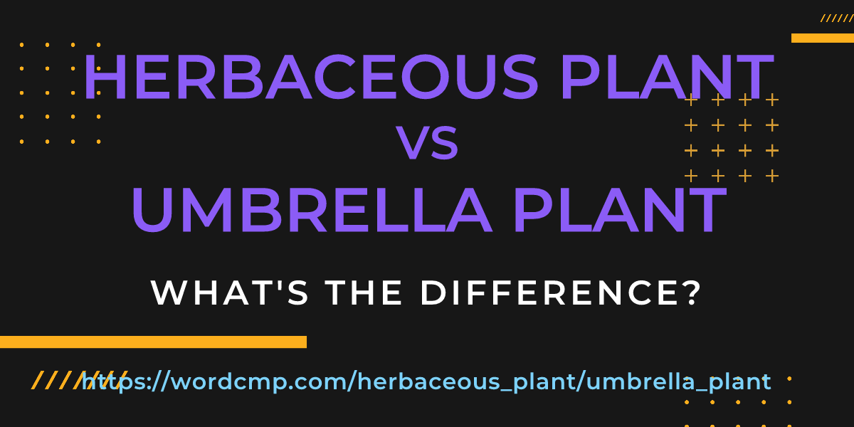 Difference between herbaceous plant and umbrella plant