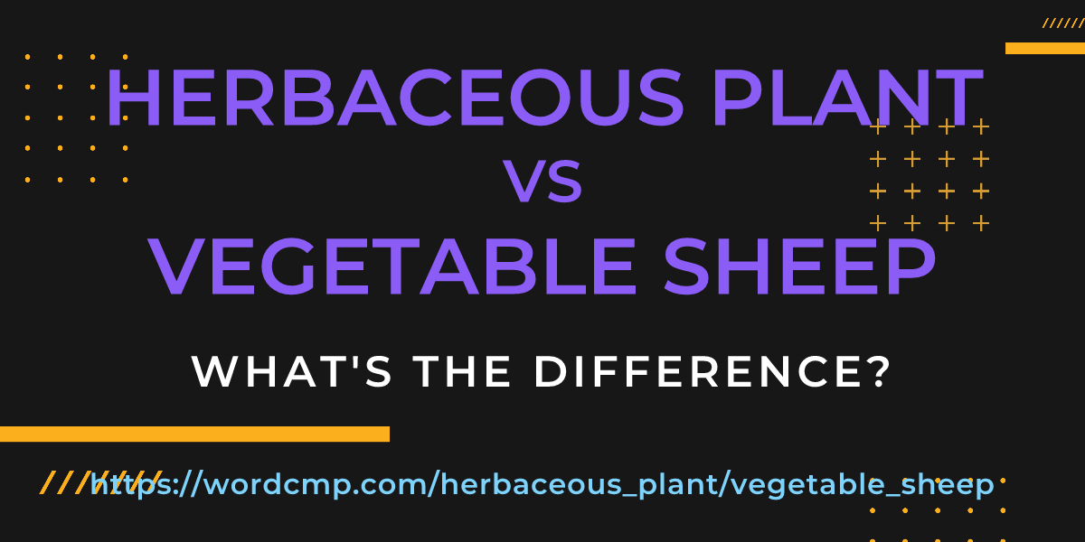 Difference between herbaceous plant and vegetable sheep