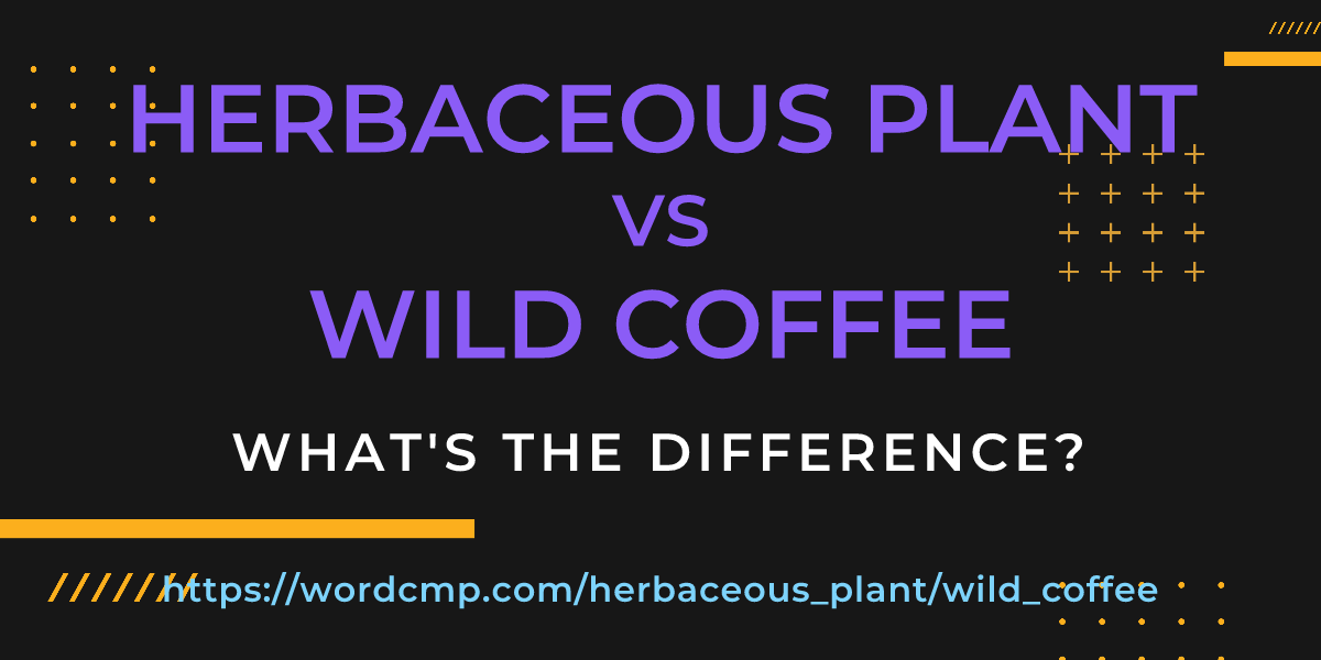 Difference between herbaceous plant and wild coffee