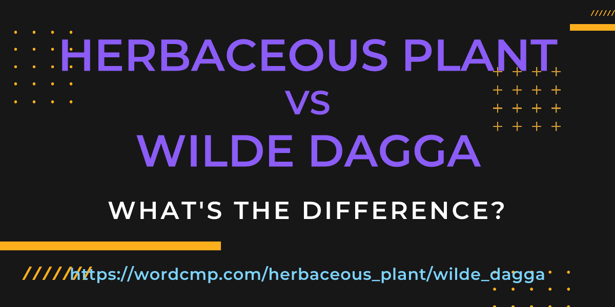 Difference between herbaceous plant and wilde dagga