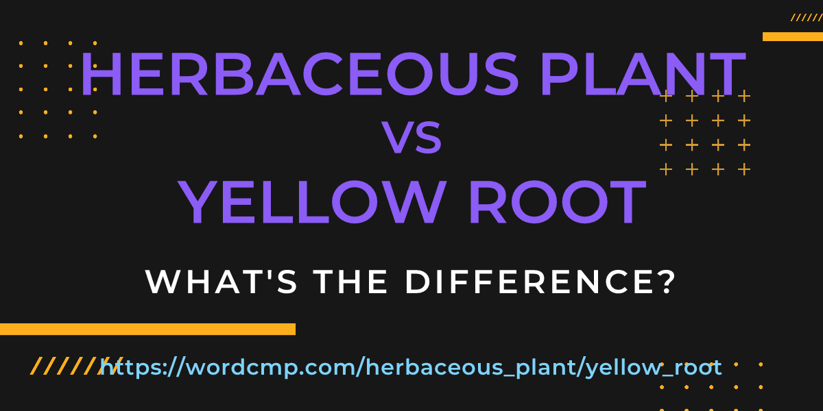 Difference between herbaceous plant and yellow root