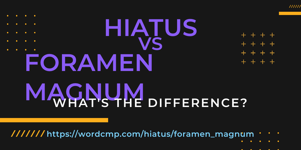 Difference between hiatus and foramen magnum
