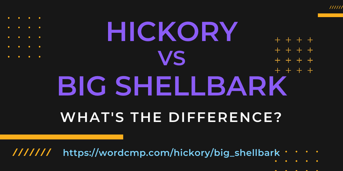 Difference between hickory and big shellbark