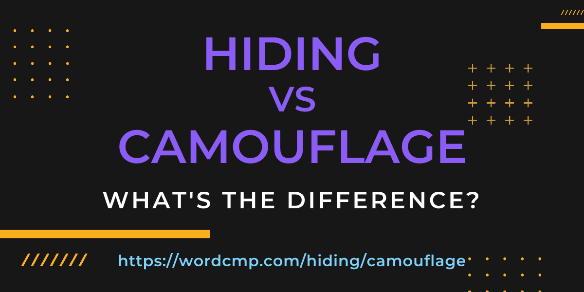 Difference between hiding and camouflage