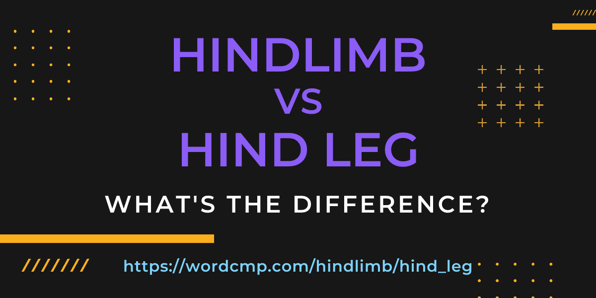 Difference between hindlimb and hind leg