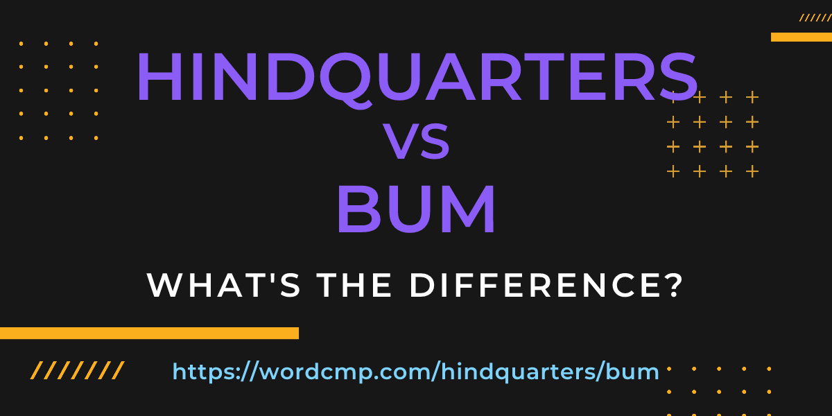 Difference between hindquarters and bum